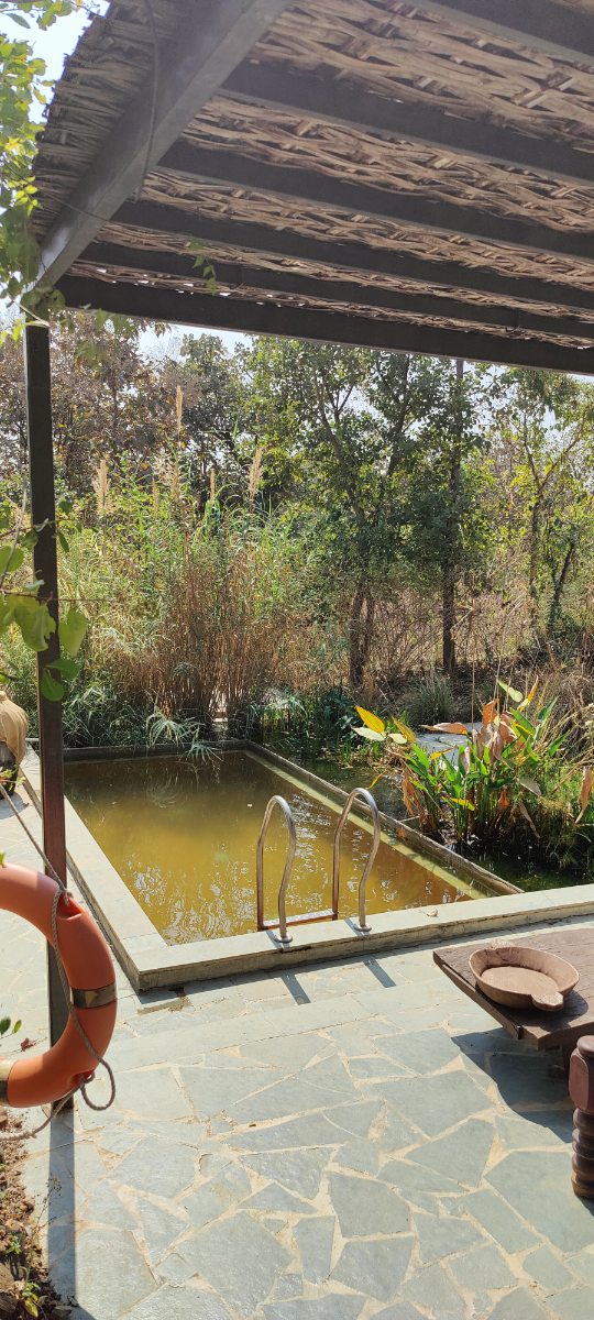 IMG20260201130509.jpg